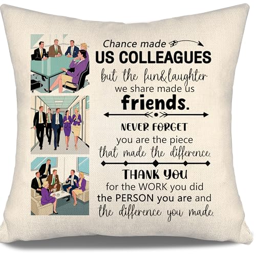Coworkers Leaving Gifts Chance Made Us Colleagues Throw Pillow Cover Funny Going Away Farewell Gifts for Coworkers Women Men Birthday Thank You Gift Best Cowokers (Colleague) - color: Colleague