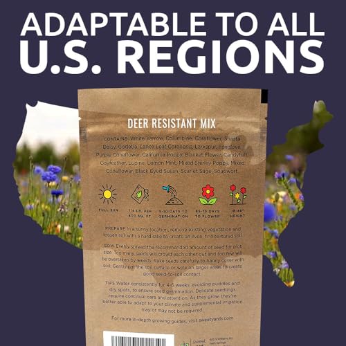 Deer Resistant Wildflower Seed Mixture - Bulk 1/4 Pound Bag - Over 60,000 Deer Tolerant Seeds - Open Pollinated and Non GMO - size: 1/4 Pound Bag