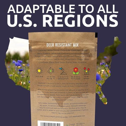 Deer Resistant Wildflower Seed Mixture - Bulk 1/4 Pound Bag - Over 60,000 Deer Tolerant Seeds - Open Pollinated and Non GMO - size: 1/4 Pound Bag
