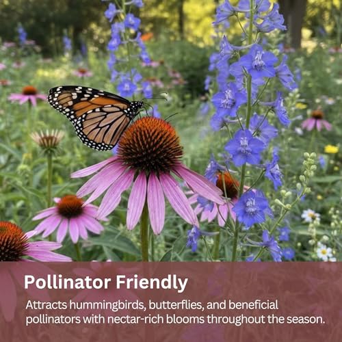 Butterfly and Hummingbird Wildflower Mix – 30,000+ Seeds – 1 oz Bulk Extra Large Resealable Packet – Non-GMO Open Pollinated Wildflower Seeds