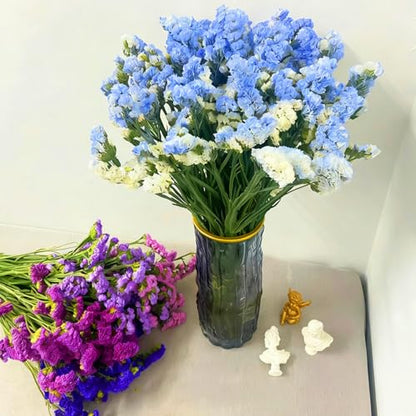 Mix Statice Forget me not Seeds for Planting, 309+pcs Perennial Statice Flower Seeds, Non-GMO Heirloom Rare Beauty Blooms Flowers Plants Home Garden for Outdoors