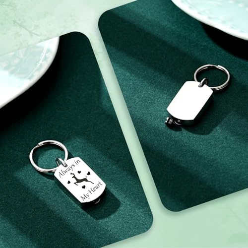 Cremation Jewelry Urn Keychain for Ashes for Women Men Memorial Keepsake Pendant - color: Silver