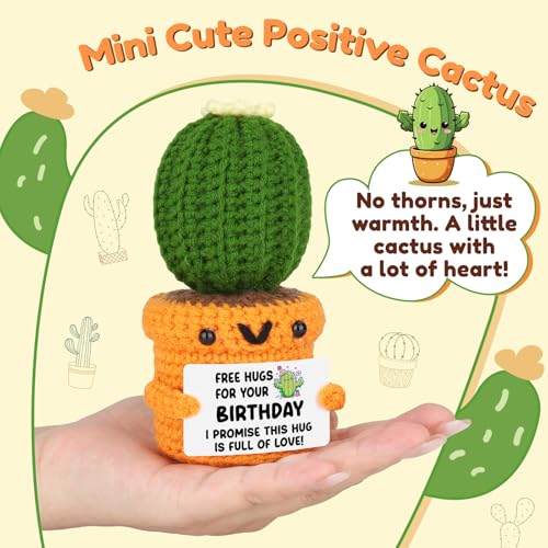 Agantree art Unique Birthday for Women Men Sister Friends Coworker Boss Happy Birthday Free Hug Cactus Decoration for Her Him Son Daughter Wife Husband, 20 30 40 50th Present for Mom Dad Grandma - style: Birthday