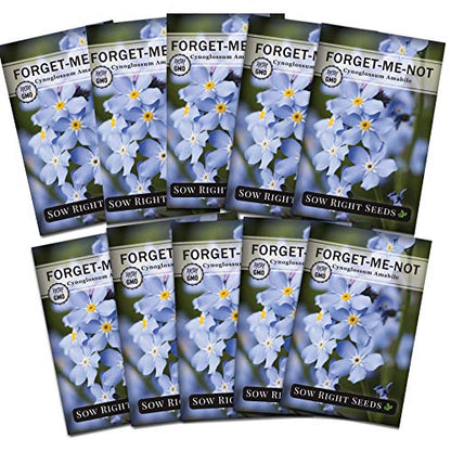 Sow Right Seeds - Chinese Forget-Me-Not Seed for Planting Flowers 10pk