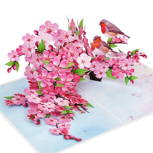 iGifts And Cards Cherry Blossom 3D Pop-Up Card – In Full Bloom 6"x8" | Robins, Pink Flowers, Nature-Inspired Greeting, Mother, Friend, Daughter, Spring Keepsake, Thinking of You Memento, Notecard - color: Cherry Blossom Robins