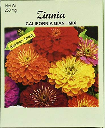 Set of 50 Flower Seed Packets! Flower Seeds in Bulk (50, Zinnia Cali Giant) - Made in The USA - color: Zinnia Cali Giant