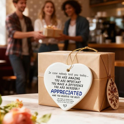 in Case Nobody Told You Today: You are Amazing, Important & Make a Difference - Affirmations Sign | Office Gift, Appreciation Gifts, Thank You Gifts, Going Away, Retirement Gift | Christmas Ornament - color: Deserve the Best