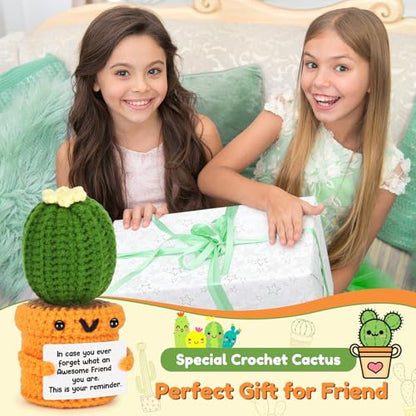 Agantree art Birthday Friend Gifts for Women Best Friend Birthday Long Distance Graduation Friendship Gifts for Woman Her, Sister, Besties, Crochet Cactus Desk Decor Christmas - style: Friend