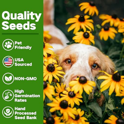 Lush&Dew Pet-Friendly Heirloom Seed Bank, Gardening Gifts for Women Men | 16 Varieties 15,000+ Non-GMO Seeds for Planting Herbs Flowers Vegetables in Raised Garden Bed Windowsill, Annuals Perennials - style: Pet-Friendly