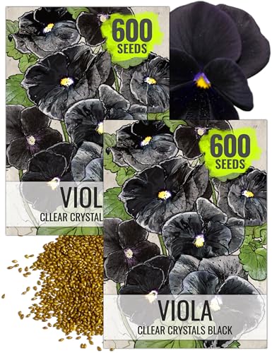 Seed Needs Black Pansy Seeds to Plant a Gothic Butterfly Garden 2 Packs - size: 2 Packs, style: Black Pansy