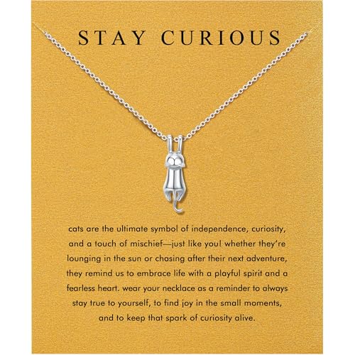 Baydurcan Pendant Necklace for Women Friends Sister Birthday Christmas Gift | Silver Evil Eye Ankh Mary Friendship Dragonfly Hummingbird Snake Turtle Pendant Necklace for Her Just Because Gifts - style: Cat