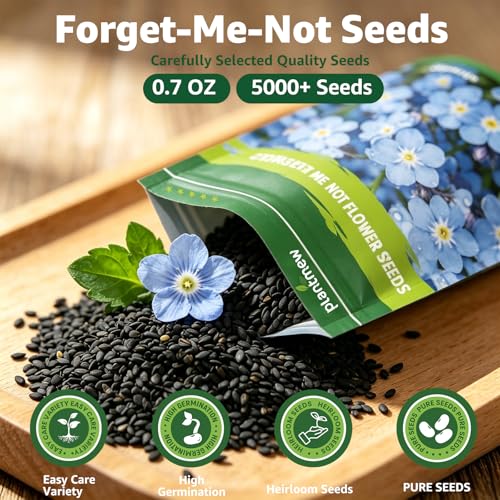 5600+ Forget Me Not Seeds for Planting, Easy to Grow Blue Forget-Me-Not Flowers, Perennial Wildflower Seeds for Ground Cover, Borders & Pollinator Gardens - size: 0.7 oz