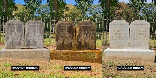 Endurance Gravestone & Monument Cleaning - Mini Set