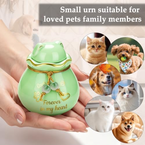SOITIS Custom Small Pet Urns for Cats Dog 3.54” Urns for Ashes Ceramic Urn - color: Cyan Paw-custom