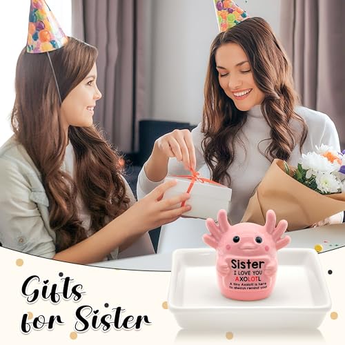Sister Birthday Gifts for Sister, Pink Ceramic Axolotl Ring Holder Dish - style: Axolotl Sister