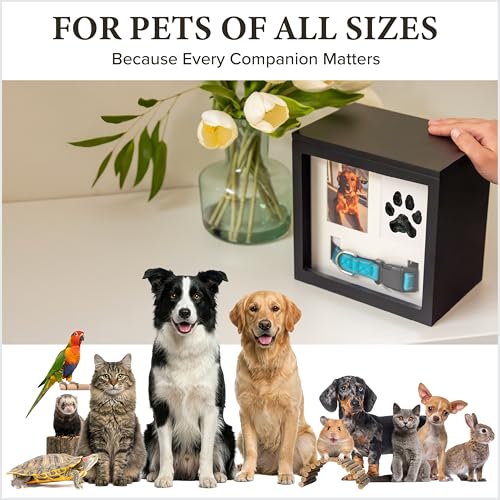 Dog Urn for Ashes, 5 Customizable Displays with Paw Print Ink Kit and Flannel Bag, Pet Urns for Dogs Ashes, Pet Cremation Memorial Box, Cat Urn for Ashes, Dog Ashes Keepsake, Fur Vial, Photo Album