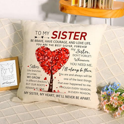 Sister Gift for Women Sister Elephant Decorative Throw Pillow Cover Presents for Soul Sister Best Friend Birthday Chirstmas Friendship Gift Inspirational Quote Keepsake 18x18 Inch (To My Sister)