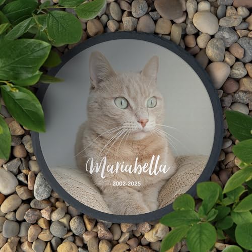 Weddingstar Custom Photo Printed 9 ⅞" Round Black Slate Garden Stone - Pet Tribute - color: Pet Tribute