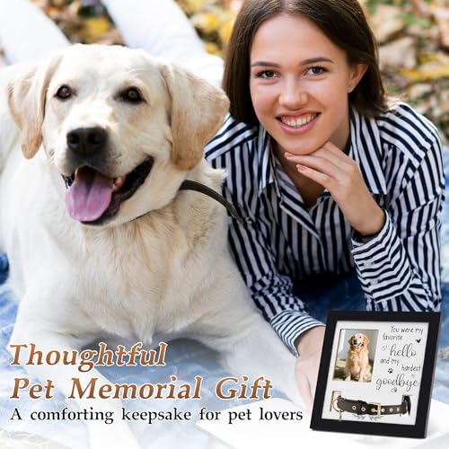 Dog Collar Memorial Frame, Pet Memorial Frame with Collar Holder, Loss of Dog Sympathy Gift, Pet Sympathy Remembrance Gift - size: Basic