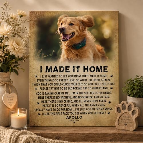 KiKiLuna Personalized Dog Memorial Framed Canvas - color: Design 2