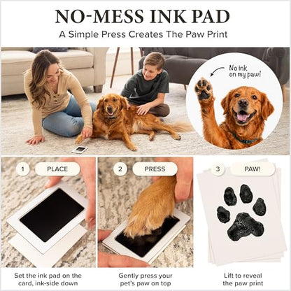 Dog Urn for Ashes, 5 Customizable Displays with Paw Print Ink Kit and Flannel Bag, Pet Urns for Dogs Ashes, Pet Cremation Memorial Box, Cat Urn for Ashes, Dog Ashes Keepsake, Fur Vial, Photo Album