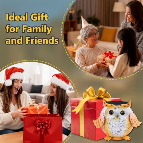 Solar Lantern Outdoor Lights, Cute Metal Solar Owl Lamp with Sound - size: Owl