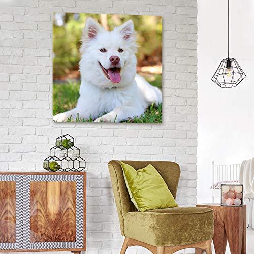 Personalized Photo to Canvas Print - Canvas Prints With Your Photos on Custom Wall Art for Bedroom, Living Room, Wedding Baby Pet Family Picture Framed Wall Art (16" W x 16" H) - size: 16"L x 16"W