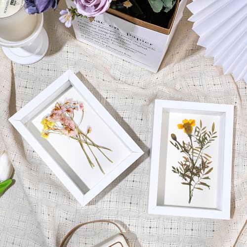 6 Pack 4 x 6 Inches Shadow Box Frame, Small Wood Frame Memory Display Cases,1.2in Depth Picture Frame Case for Dried Flowers, DIY Craft, Memorabilia, Medals and Photos