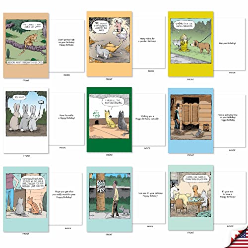 NobleWorks 36 Assorted Funny Birthday Cards in Bulk Box Set with Envelopes Dave Coverly Cartoon Humor Cake Time for Men and Women AC9375BDG-B1x36 - style: Dave Coverly's Cake Time