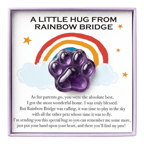 LINGYUAN Amethyst Pet Memorial Gift, Natural Paw Print Stone with Rainbow Bridge Card, Sympathy Keepsake for Loss of Dog or Cat - color: Amethyst Rainbow Bridge