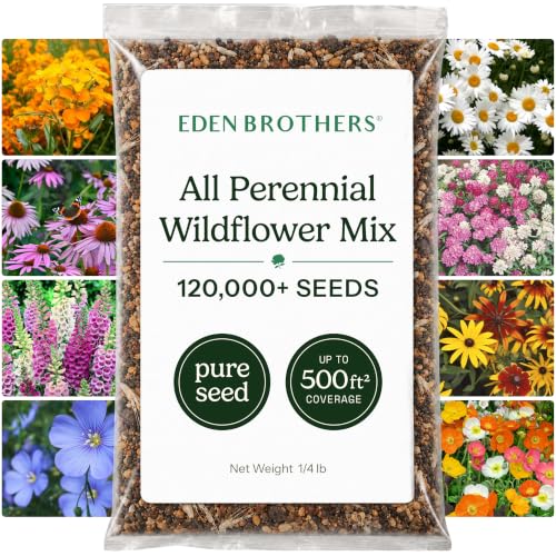Eden Brothers All Perennial Wildflower Seed Mix for Planting, 1/4 lb - size: 1/4 Pound, style: All Perennial