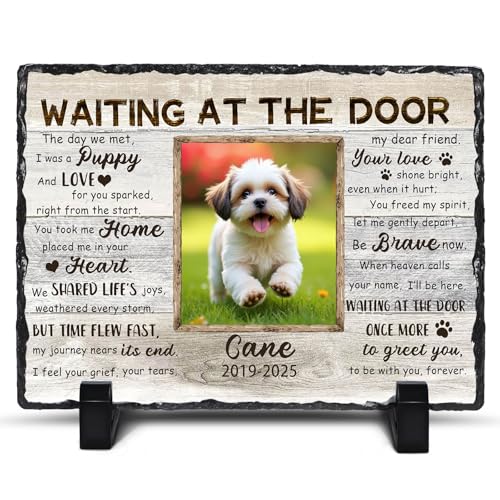 Customized Pet Photo Memorial Stones for Loss of Dogs Cats Sympathy Gift - color: Style 1
