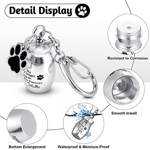 Tudomro Cremation Pet Dog Urns Keychain for Ashes with Storage Bag Stainless Steel Small Cat Paw Memorial Keepsake Jewelry - color: Silver