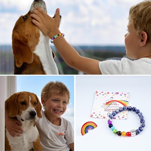 Pet Memorial Gifts,Rainbow Bridge Bracelet for Beloved Pets,Cat Memorial Gifts for Loss of Cat, Dog Passing Away Remembrance Sympathy Gift
