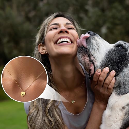 Dog Memorial Gifts for Loss of Dog Paw Print Neckalce for Women with Initial Dogs Mom Gifts Necklace for Women Dainty 14k Gold Plated Heart Necklace Pet Memorial Dogs Lover Birthday Gift for Pet Lovers - style: E