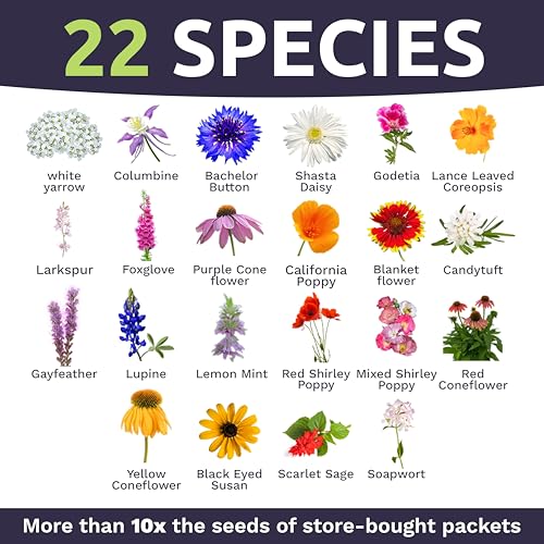 Deer Resistant Wildflower Seed Mixture - Bulk 1 Pound Bag - Over 240,000 Deer Tolerant Seeds - Open Pollinated and Non GMO - size: Bulk 1 Pound