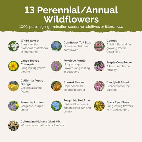 Eden Brothers Deer Resistant Wildflower Mixed Seeds for Planting, 1/4 lb - size: 1/4 Pound, style: Deer Resistant