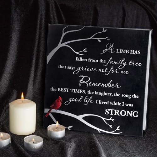 ReliThick Cardinal Funeral Photo Album 4 x 6 Inch 200 Blank Pages Memorial Leather Memory Album Scrapbook for Memorial Service Celebration of Life Decor in Loving Party Supply(Remember the Best Times) - style: Remember the Best Times