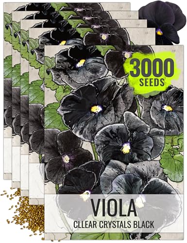 Seed Needs Black Pansy Seeds to Plant a Gothic Butterfly Garden 5 Packs - size: 5 Packs, style: Black Pansy