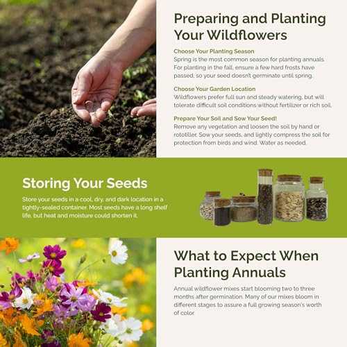 Eden Brothers All Annual Wildflower Mixed Seeds for Planting, 1 lb - size: 1 Pound, style: All Annual