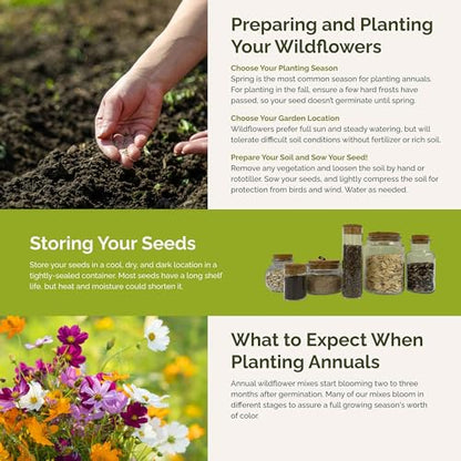 Eden Brothers All Annual Wildflower Mixed Seeds for Planting, 1/4 lb - size: 1/4 Pound, style: All Annual