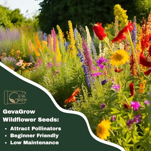 Perennial Wildflower Seeds – GevaGrow 1oz Packet Covers 100 Sq Ft | 20 Species of Non-GMO, Organic Flowers | High Germination, Pure Seed Mix for Outdoor Planting, Gardens, Pollinators & Bees - style: Premium Perennial Mix