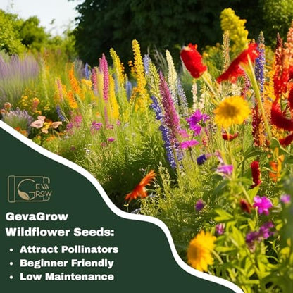 Perennial Wildflower Seeds – GevaGrow 1oz Packet Covers 100 Sq Ft | 20 Species of Non-GMO, Organic Flowers | High Germination, Pure Seed Mix for Outdoor Planting, Gardens, Pollinators & Bees - style: Premium Perennial Mix