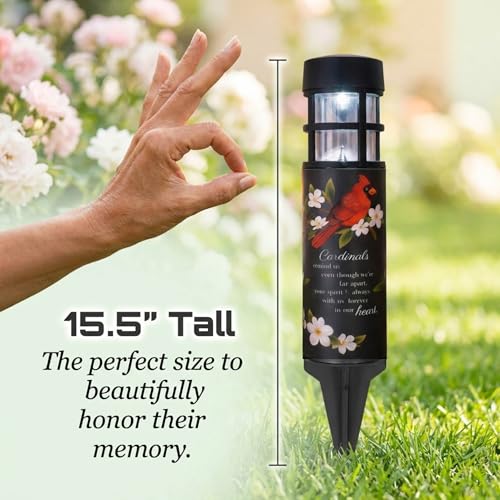 The Bridge Collection "Forever in Our Hearts Cardinal Solar Memorial Light | Weather Resistant Outdoor Sympathy Stake for Gravesite or Garden