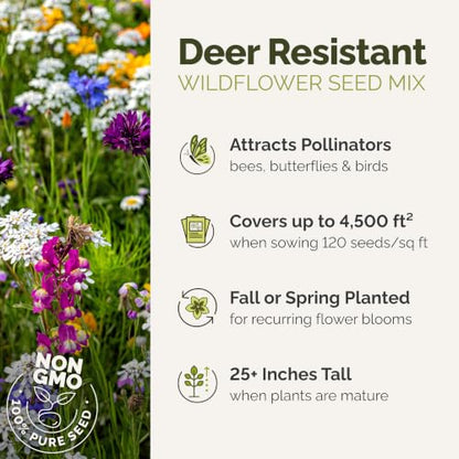Eden Brothers Deer Resistant Wildflower Mixed Seeds for Planting, 1 lb - size: 1 Pound, style: Deer Resistant
