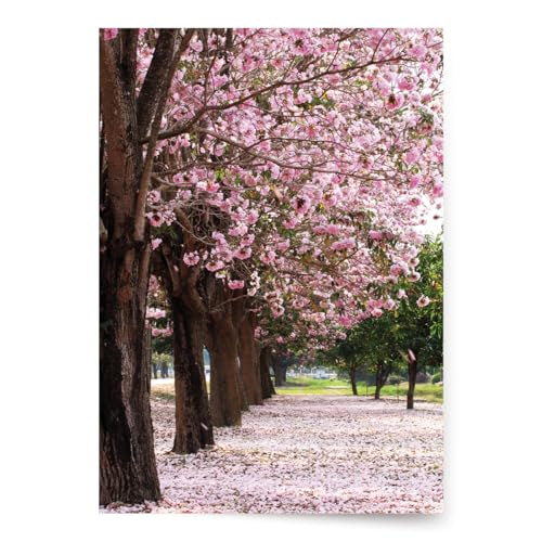 Designer Greetings For Your Words, Blank Cards 6 Pack - color: Cherry Blossom Trees