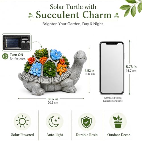 Nacome Solar Garden Outdoor Statues Turtle with Succulent - color: Grey Turtle