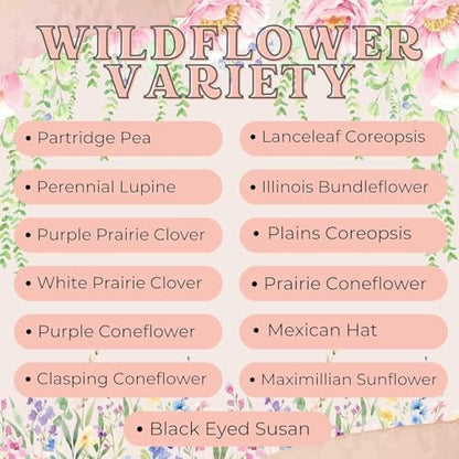 Wildflower Seed Packets in Loving Memory (Pack of 30) Funeral Gift Sympathy Remembrance Memorial Service Forget Me Not (Blue with Pink Flower) - color: Blue with Pink Flower