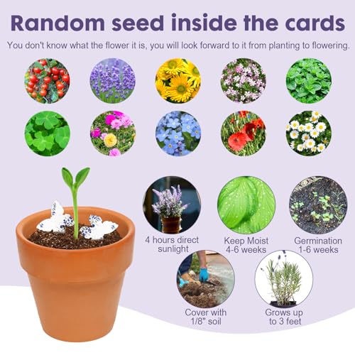 nulala 20Pack Butterfly Plantable Seed Paper Cards - Handmade Paper Card Embedded Wildflower Seeds - Eco-Friendly Cards for Wedding Favors, Gift Wrapping, Scrapbooking,Celebration of Life - size: P21