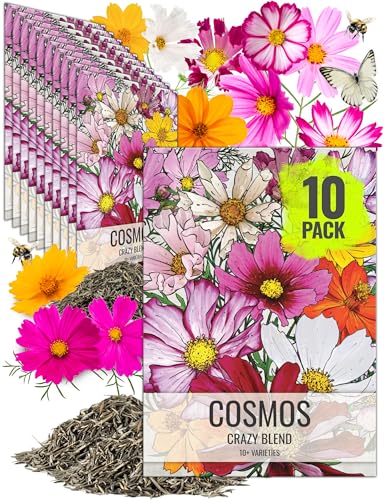 Seed Needs Flower Seeds Cosmos Original Crazy Mix (10 Bulk Packs) - size: 10 Packs, style: Crazy Cosmos Mix